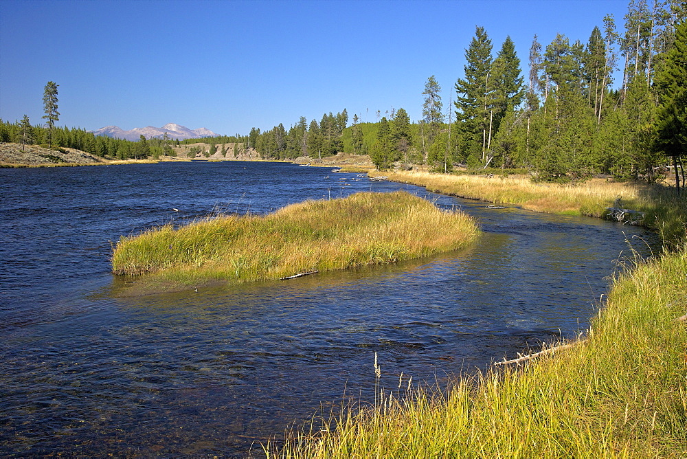 Madison River valley near Madison, Yellowstone National Park, UNESCO World Heritage Site, Wyoming, United States of America, North America 