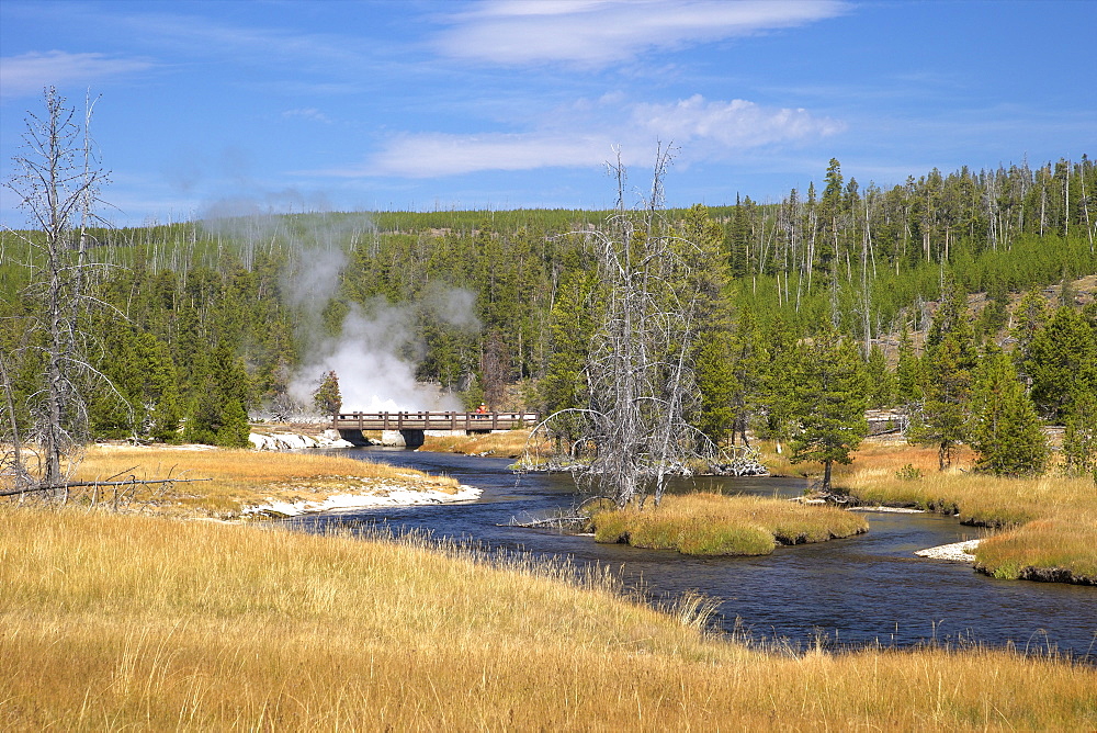 Oblong Geyser, Upper Geyser Basin, Yellowstone National Park, UNESCO World Heritage Site, Wyoming, United States of America, North America 