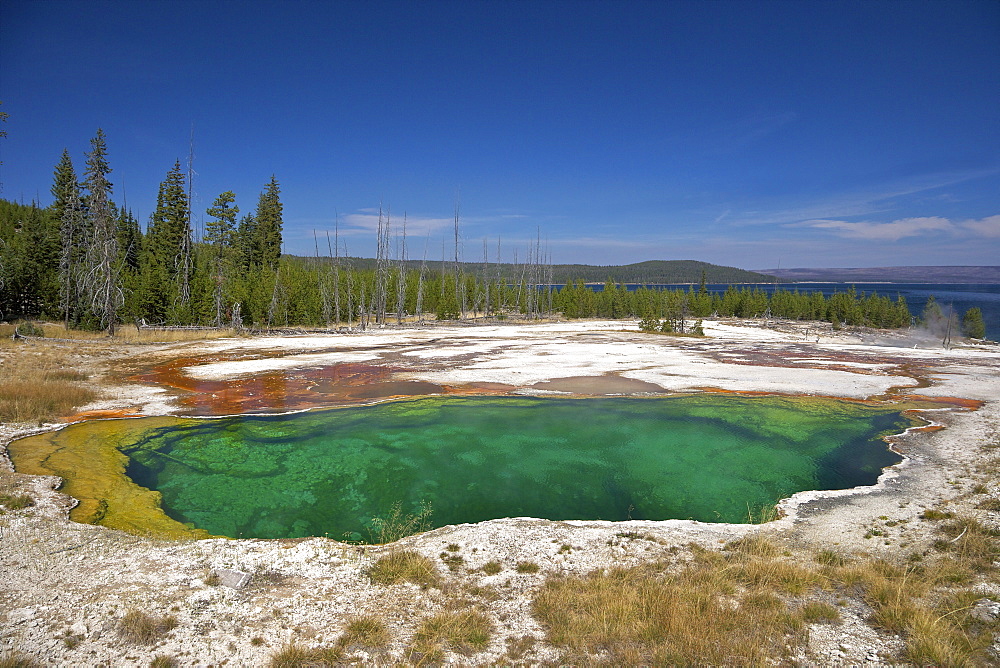 Abyss Pool, West Thumb Geyser Basin, Yellowstone National Park, UNESCO World Heritage Site, Wyoming, United States of America, North America 