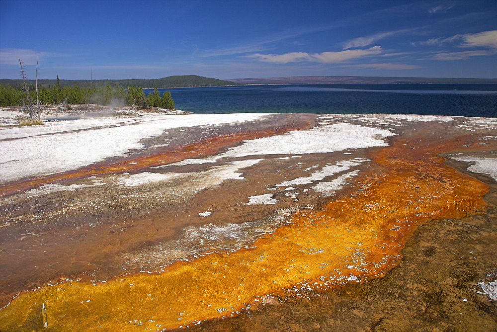 Run off area near Black Pool Spring, West Thumb Geyser Basin, Yellowstone National Park, UNESCO World Heritage Site, Wyoming, United States of America, North America 