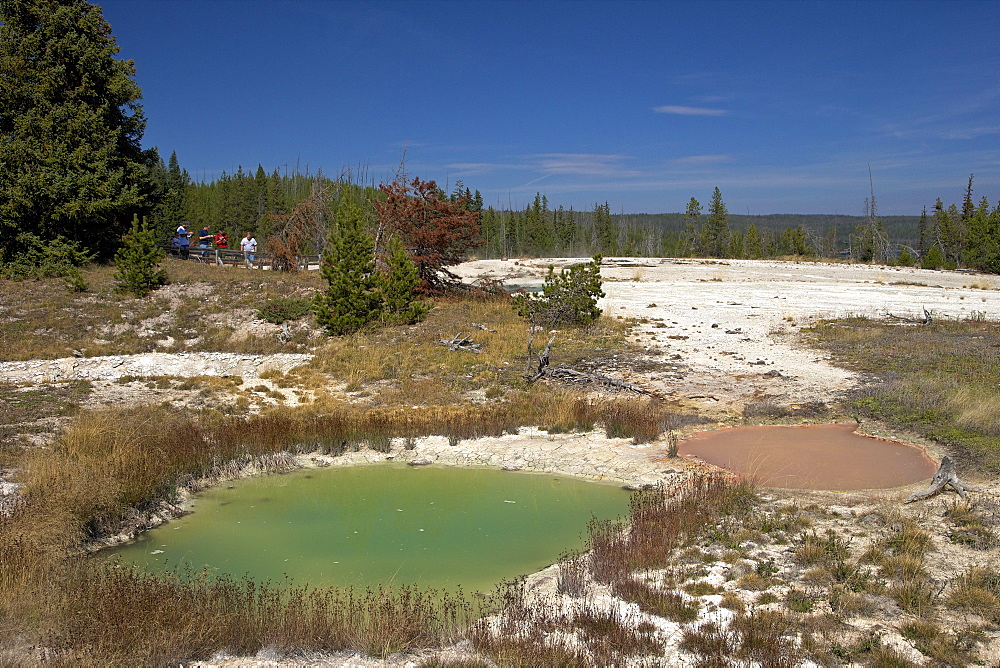 Thumb paint pots, West Thumb Geyser Basin, Yellowstone National Park, UNESCO World Heritage Site, Wyoming, United States of America, North America 