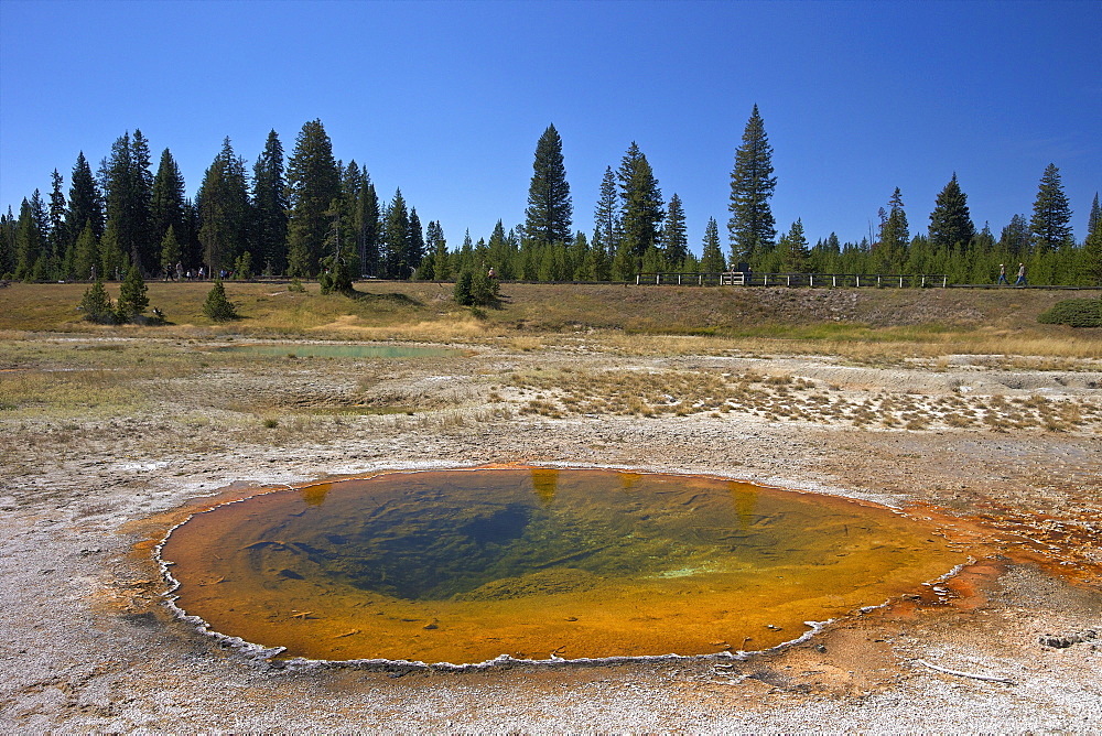 Thumb geyser, West Thumb Geyser Basin, Yellowstone National Park, UNESCO World Heritage Site, Wyoming, United States of America, North America 