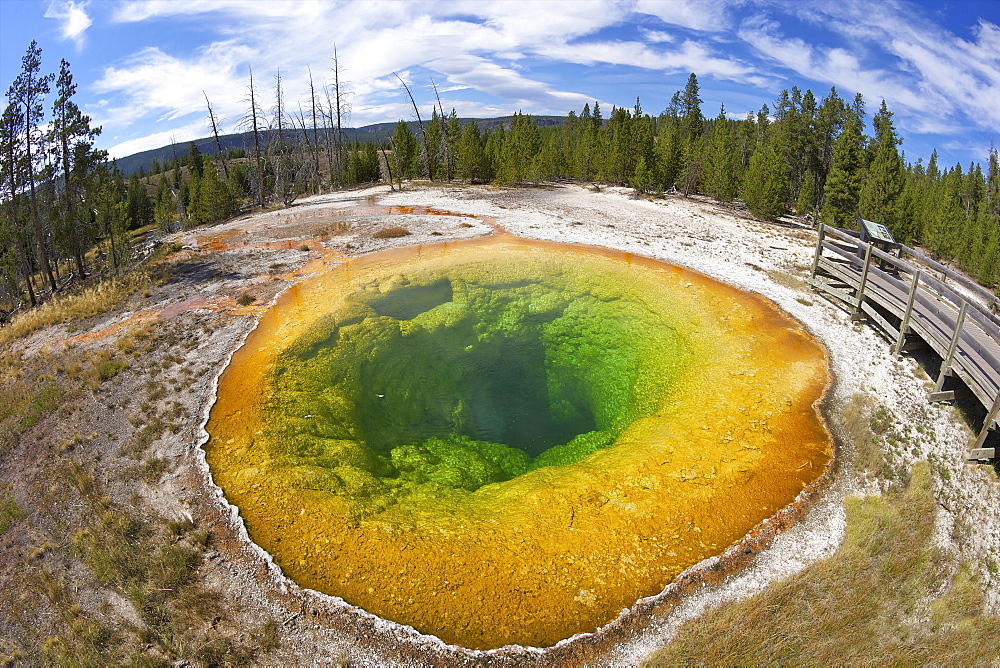 Morning Glory Pool, Upper Geyser Basin, Yellowstone National Park, UNESCO World Heritage Site, Wyoming, United States of America, North America 