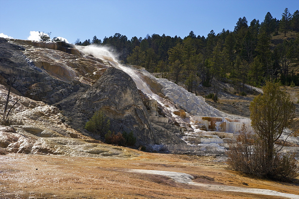 Devil's Thumb and Palette Spring, Mammoth Hot Springs, Yellowstone National Park, UNESCO World Heritage Site, Wyoming, United States of America, North America 