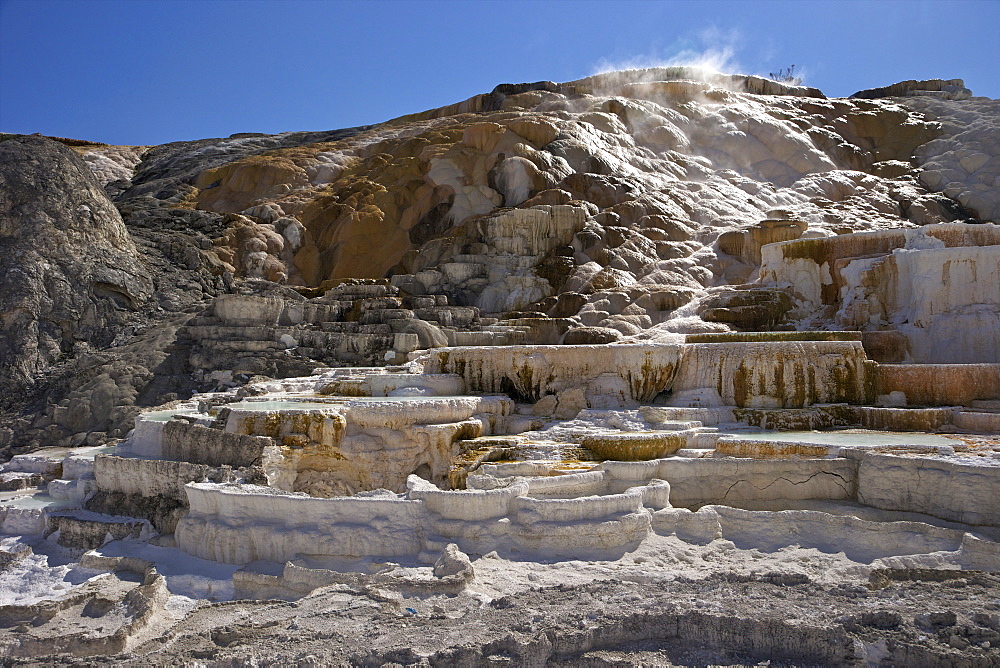 Palette Spring, Mammoth Hot Springs, Yellowstone National Park, UNESCO World Heritage Site, Wyoming, United States of America, North America 