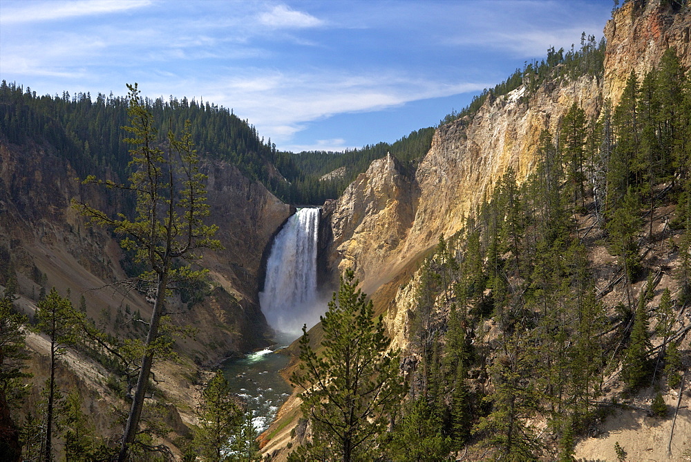 View of Lower Falls from Red Rock Point, Grand Canyon of the Yellowstone River, Yellowstone National Park, UNESCO World Heritage Site, Wyoming, United States of America, North America 