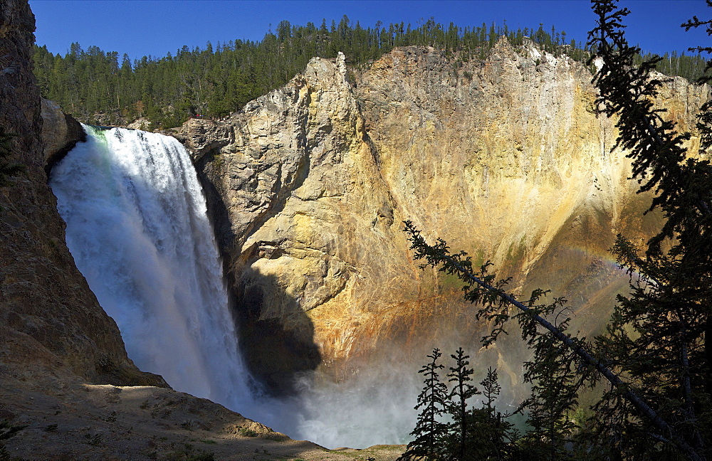 Panoramic photo of Lower Falls from Uncle Tom's Point, Grand Canyon of the Yellowstone, Yellowstone National Park, UNESCO World Heritage Site, Wyoming, United States of America, North America 