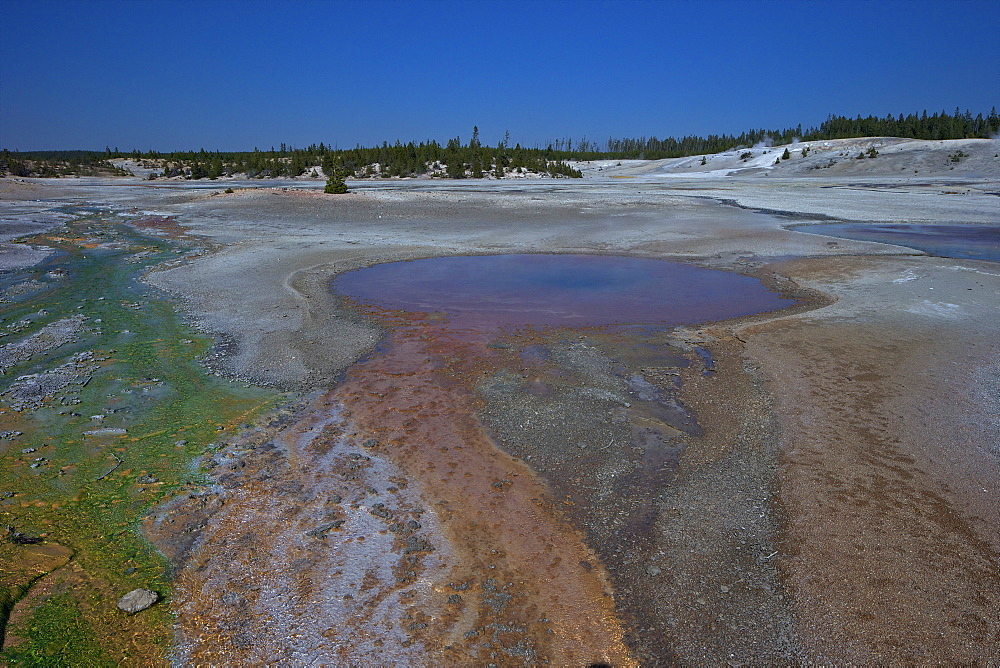 Pinwheel Geyser, Porcelain Basin, Norris Geyser Basin, Yellowstone National Park, UNESCO World Heritage Site, Wyoming, United States of America, North America 