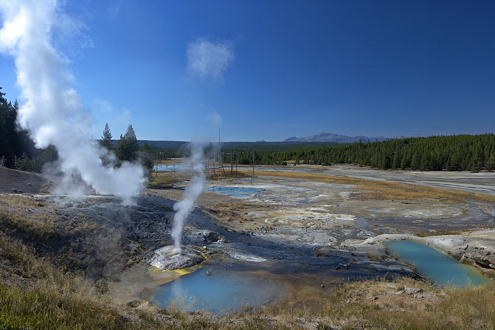 Fumaroles (steam vents) in Porcelain Basin, Norris Geyser Basin, Yellowstone National Park, UNESCO World Heritage Site, Wyoming, United States of America, North America 