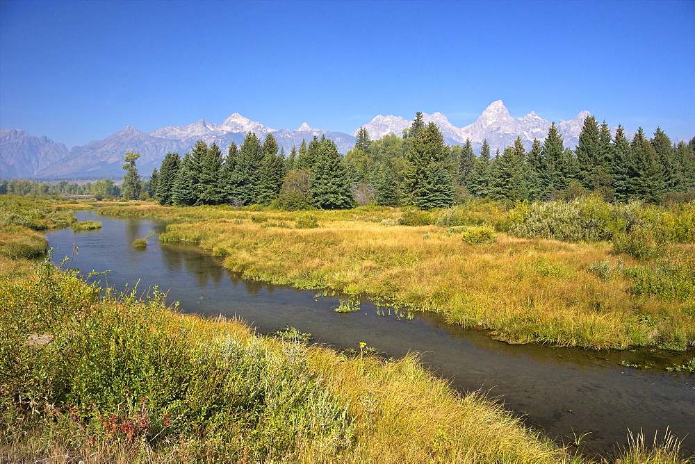 Snake River at the Schwabacher Landing, Grand Teton National Park, Wyoming, United States of America, North America 