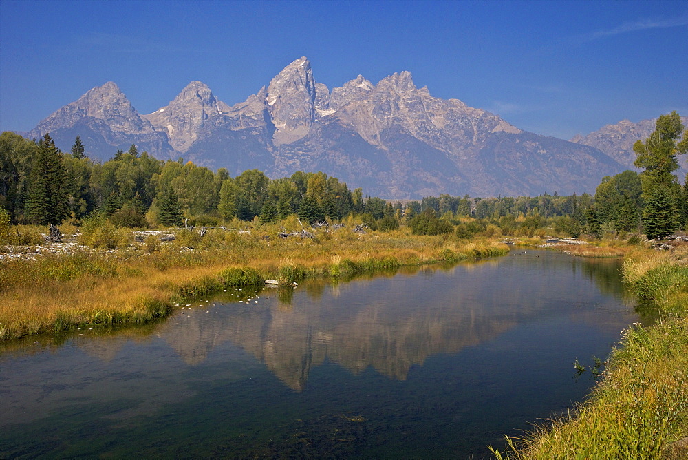 Snake River at the Schwabacher Landing, Grand Teton National Park, Wyoming, United States of America, North America 