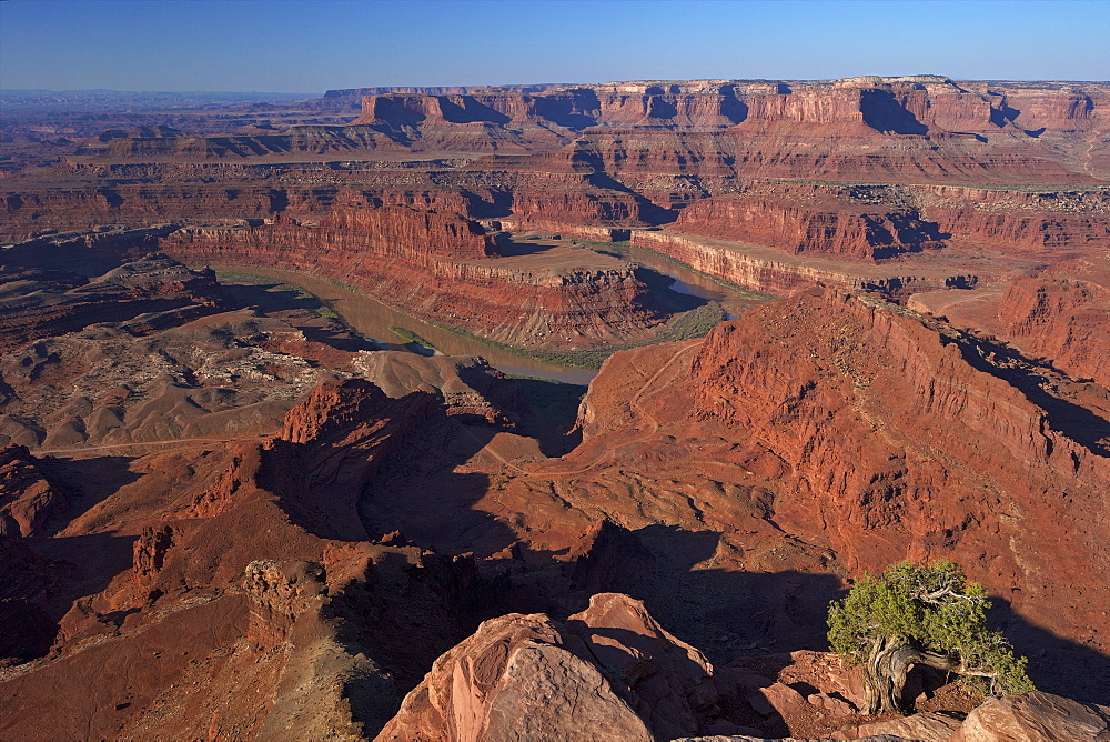 Colorado River from Dead Horse Point Overlook, Dead Horse Point State Park, Utah, United States of America, North America 