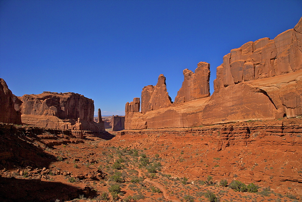 Park Lane, Arches National Park, Moab, Utah, United States of America, North America 