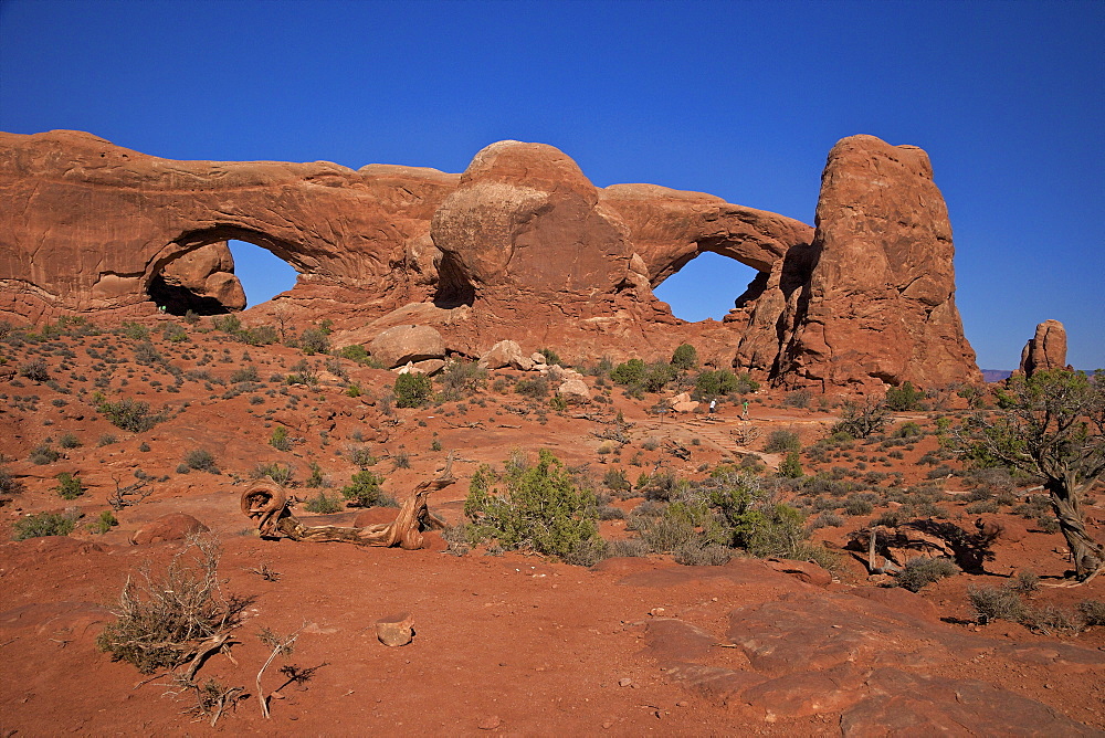 The Spectacles (North and South Windows), Arches National Park, Moab, Utah, United States of America, North America 