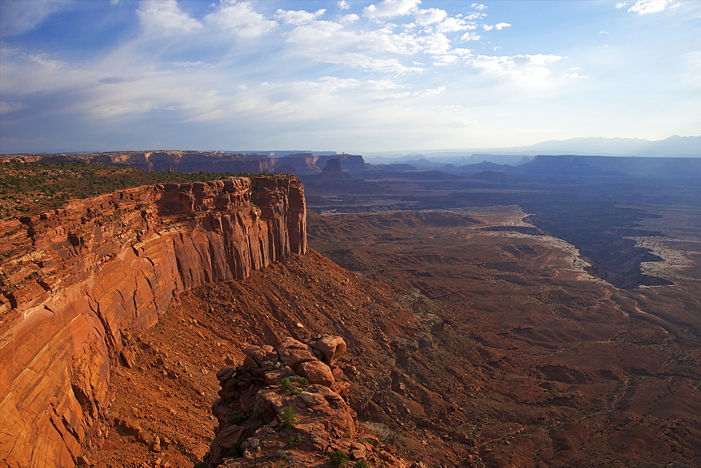 Buck Canyon Viewpoint, Canyonlands National Park, Utah, United States of America, North America 