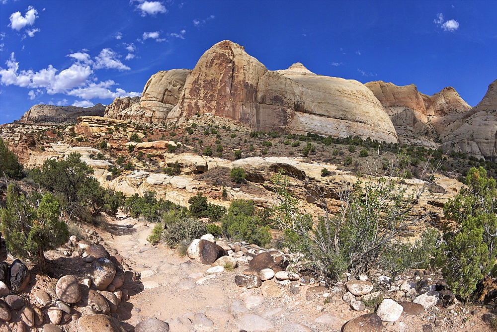 Hickman Bridge Trail, Navajo Dome, Capitol Reef National Park, Utah, United States of America, North America 