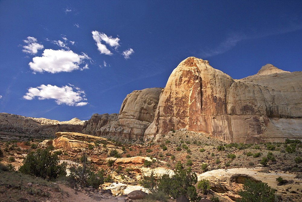 Hickman Bridge Trail, Navajo Dome, Capitol Reef National Park, Utah, United States of America, North America 