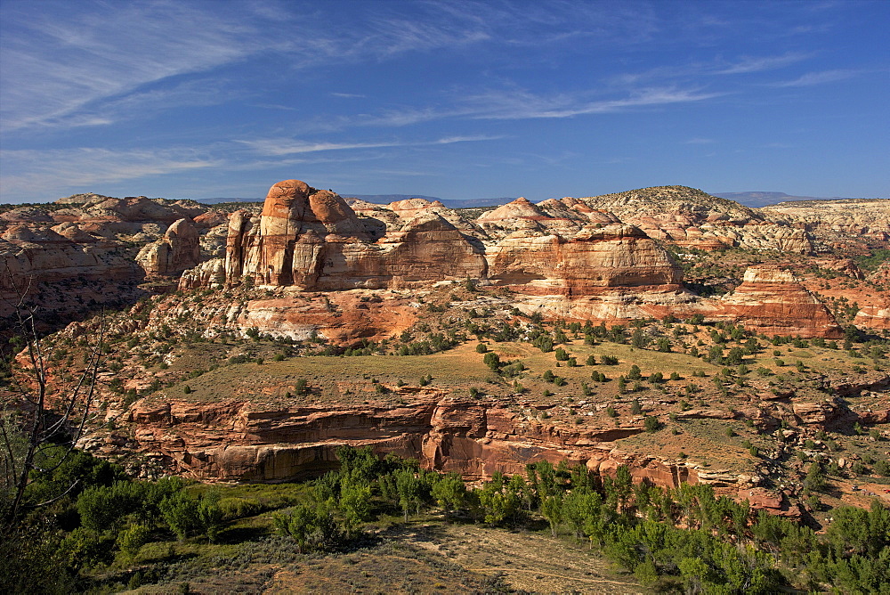 Grand Staircase-Escalante National Monument, Utah, United States of America, North America 