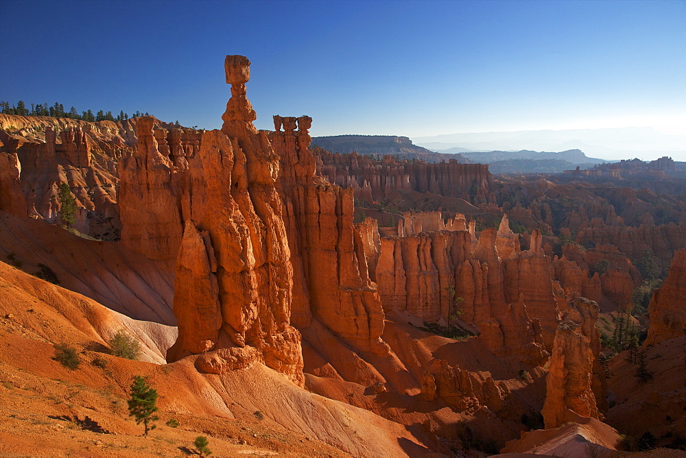 Thor's Hammer in early morning from Sunset Point, Bryce Canyon National Park, Utah, United States of America, North America 