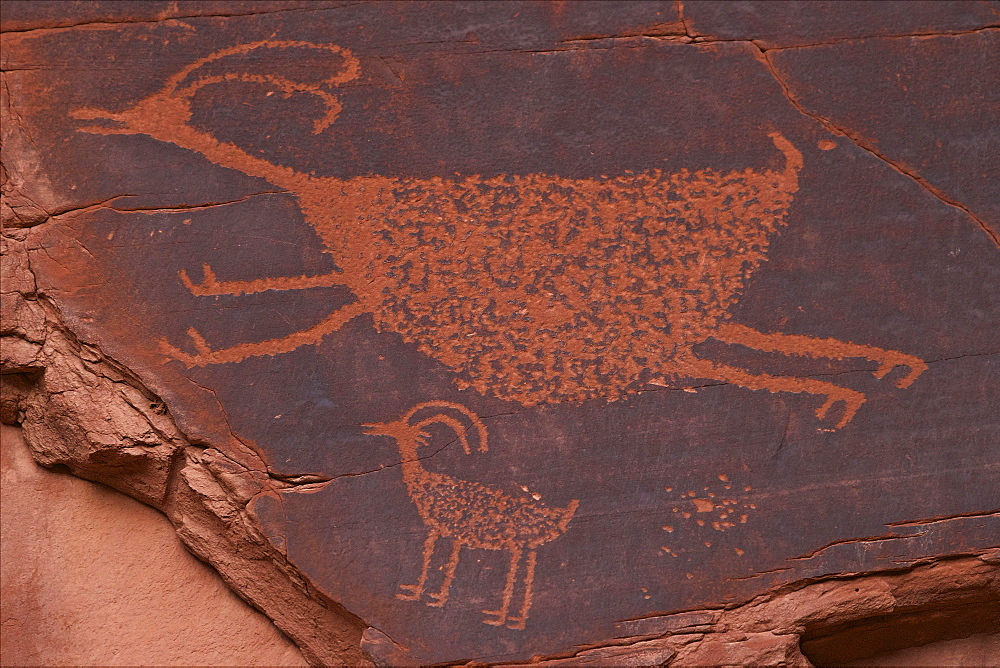 Bighorn Sheep at the Sun's Eye. Anasazi Petroglyphs, Monument Valley Navajo Tribal Park, Utah, United States of America, North America