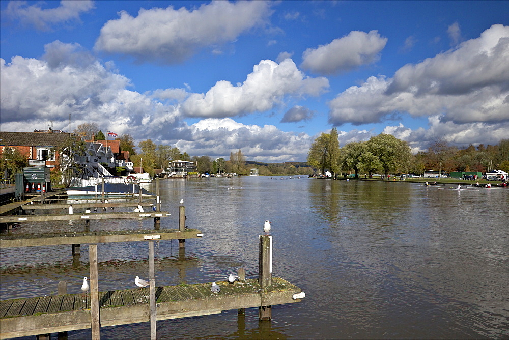 Riverside view in winter sunshine, Henley-on-Thames, Oxfordshire, England, United Kingdom, Europe 