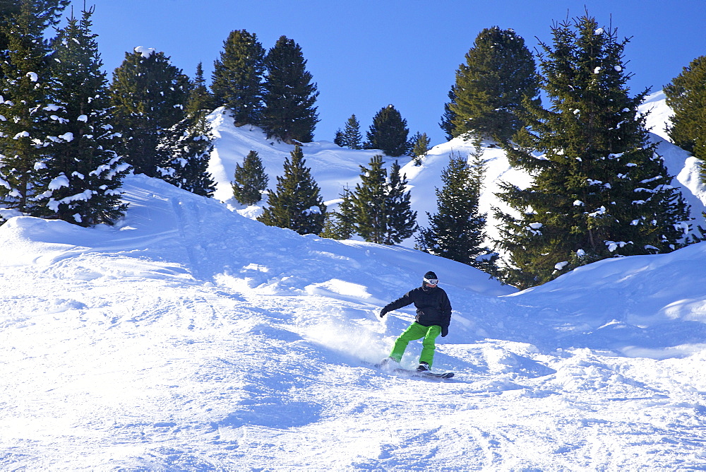 Snow-boarding off-piste early morning in winter, La Plagne, French Alps, France, Europe 