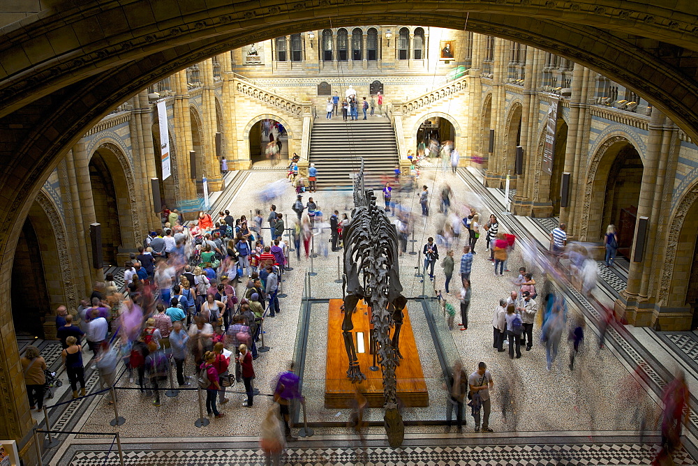 Central Hall, Natural History Museum, South Kensington, London, England, United Kingdom, Europe