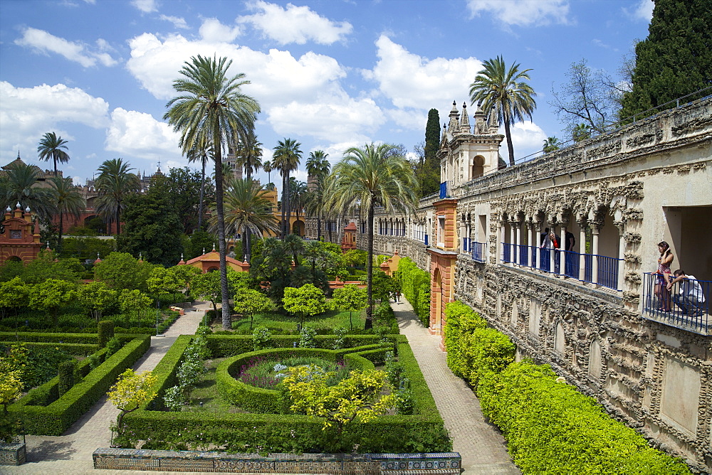 Courtyard gardens, Alcazar, UNESCO World Heritage Site, Seville, Andalucia, Spain, Europe