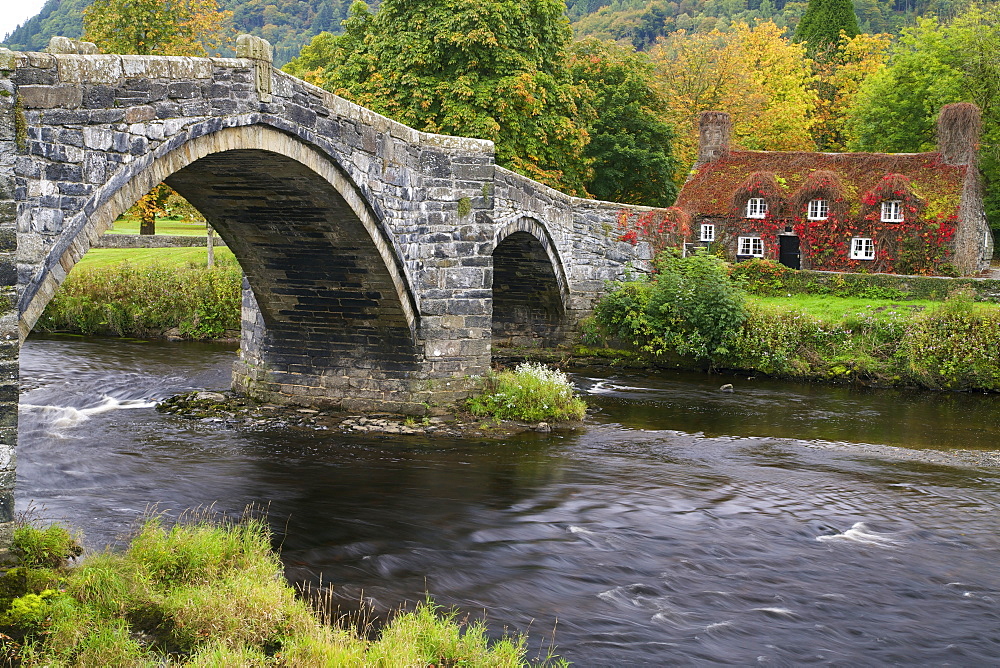 Tu Hwnt Ir Bont Tearoom in autumn, Tu Hwnt, Llanrwst, near Betwys-y-Coed, Conwy Valley, Wales, United Kingdom, Europe