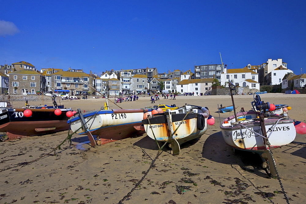 Boats in old harbour in summer, St. Ives, Cornwall, England, United Kingdom, Europe