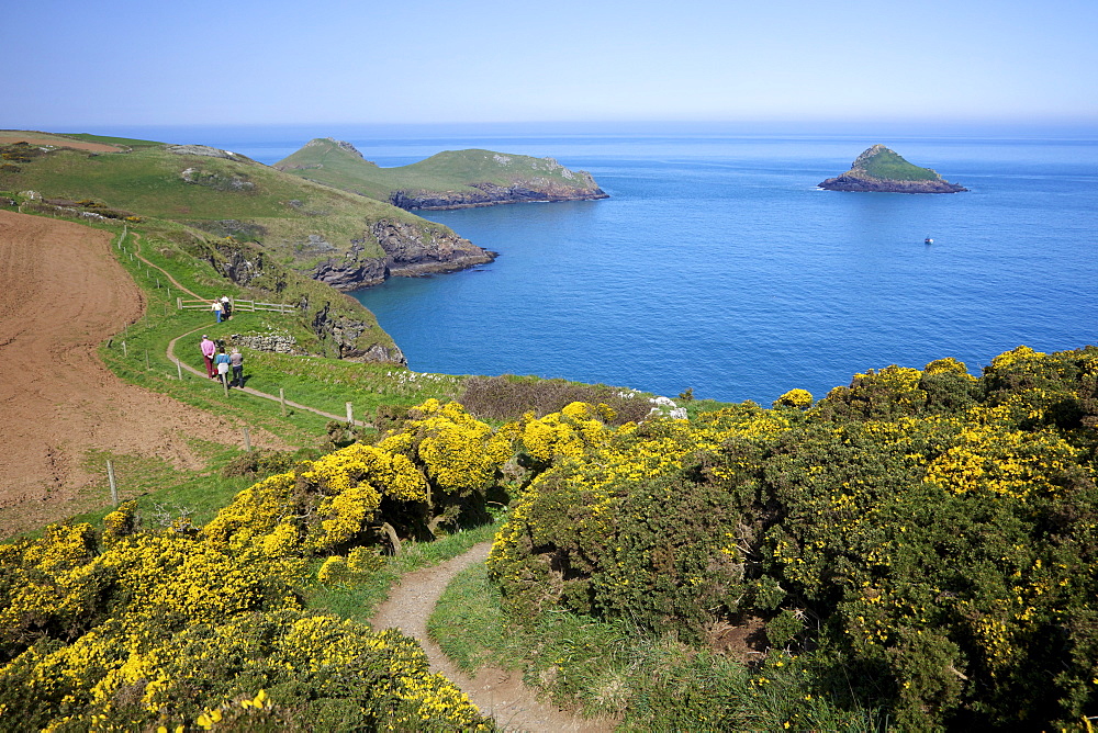 Walkers on coastpath with views of the Mouls and Rumps Point, Pentire Headland, Polzeath, North Cornwall, England, United Kingdom, Europe