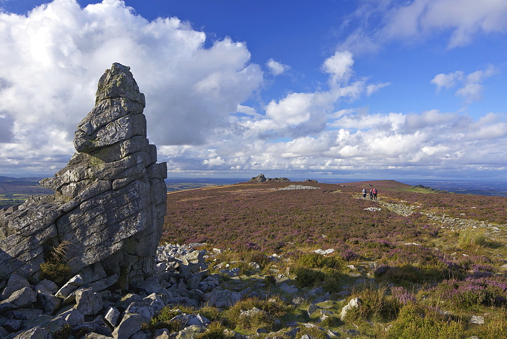 Summer sun on the Stiperstones, Shropshire, England, United Kingdom, Europe