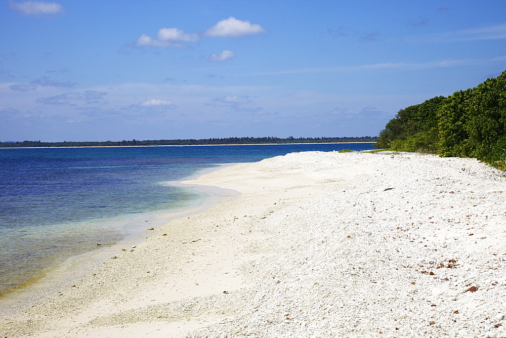 View of coral beach on Pigeon Island National Park, Trincomalee, Sri Lanka, Asia