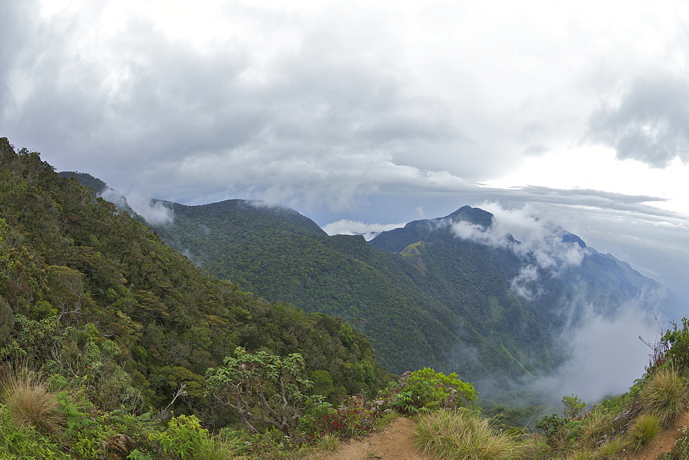 Mini World's End, Horton Plains National Park, Sri Lanka, Asia