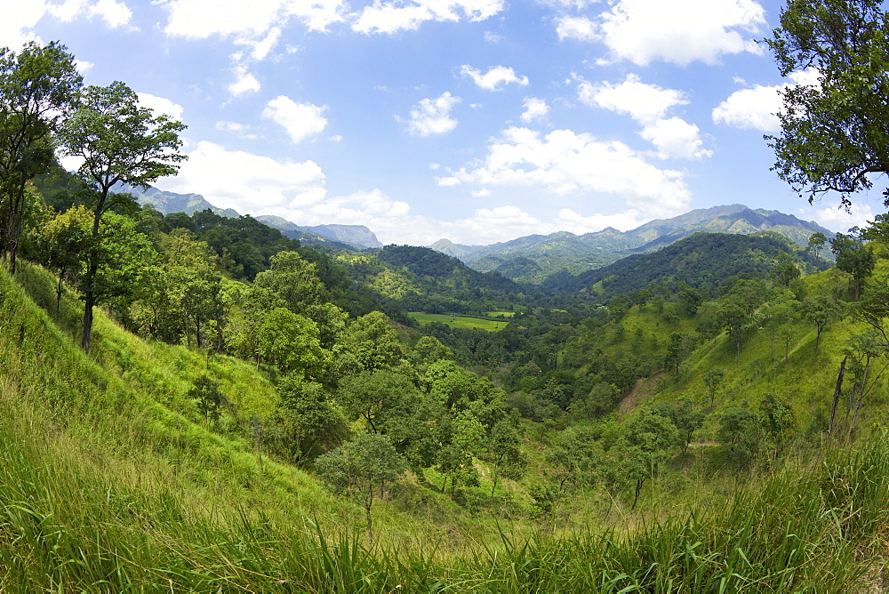 Hill country near Ella, Sri Lanka, Asia