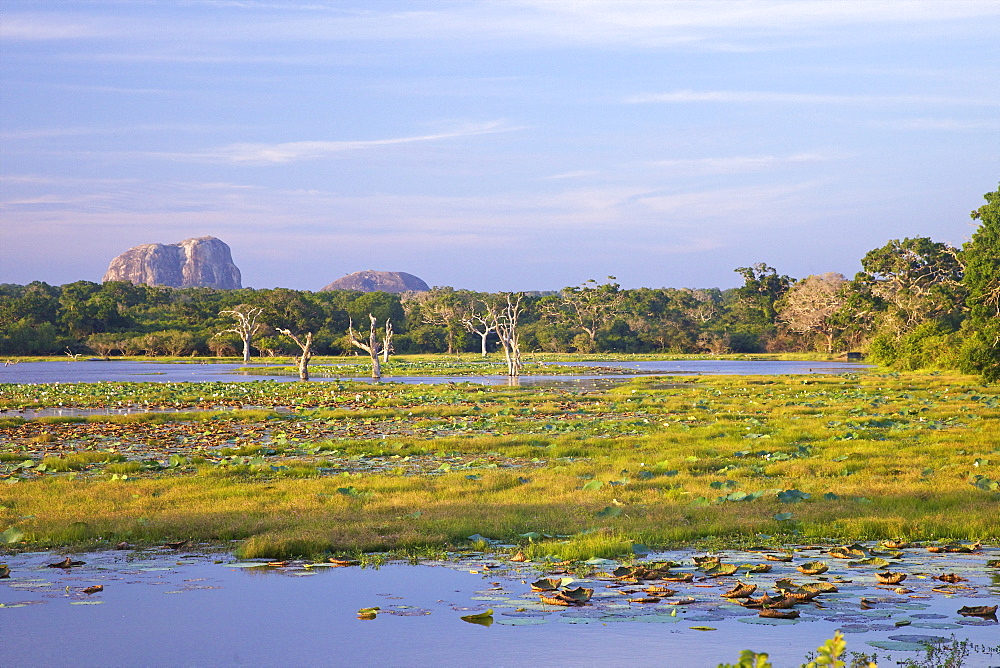 Lake and view of Elephant Rock in late afternoon, Yala National Park, Sri Lanka, Asia