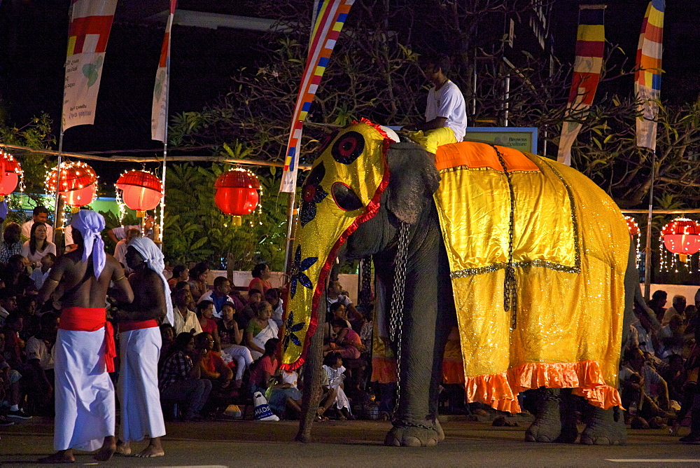 Ceremonial elephant in the Navam Maha Perahera, Colombo, Sri Lanka, Asia