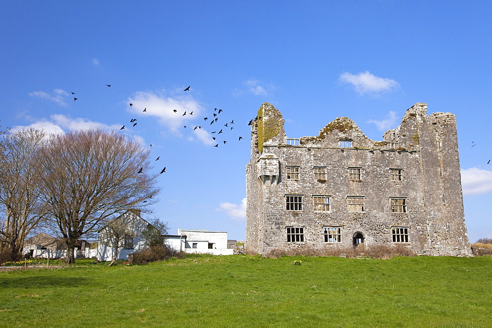 Leamanagh Castle, Burren, County Clare, Munster, Republic of Ireland, Europe