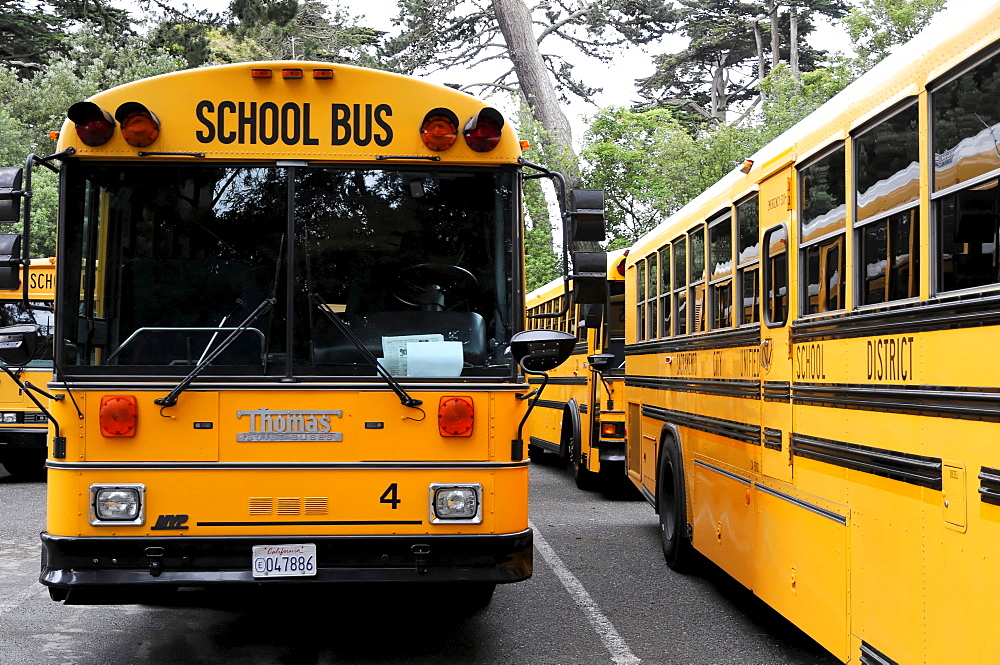 School buses at the Japanese Tea Garden, San Francisco, California, USA, North America