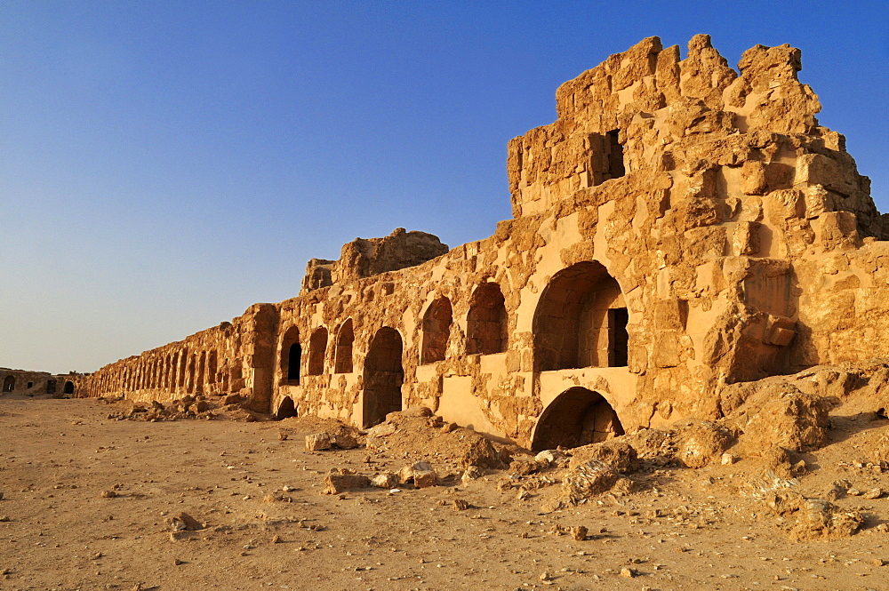 Byzantine ruins at the archeological site of Resafa, Sergiopolis, near the Euphrates, Syria, Middle East, West Asia