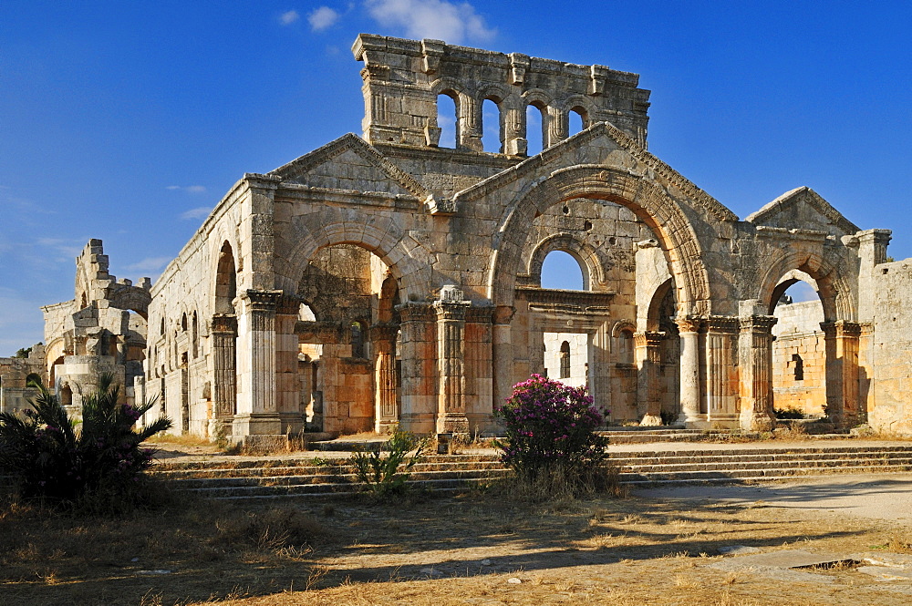 Ruin of Byzantine Saint Simeon Monastery, Qala'at Samaan, Qalaat Seman archeological site, Dead Cities, Syria, Middle East, West Asia