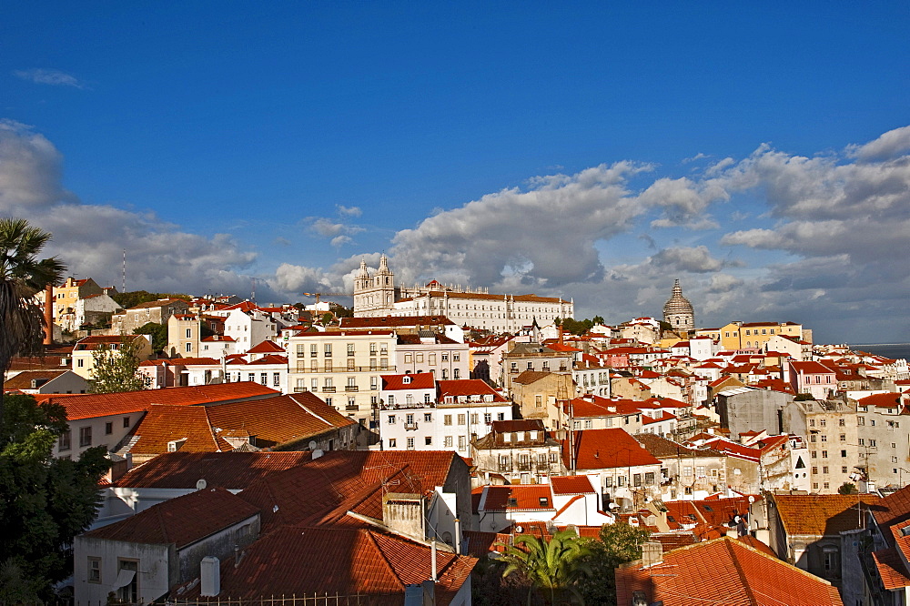 View from Miradouro Santa Luzia on the church Igreja Sao Vicente de Fora, Alfama district, Lisbon, Portugal, Europe