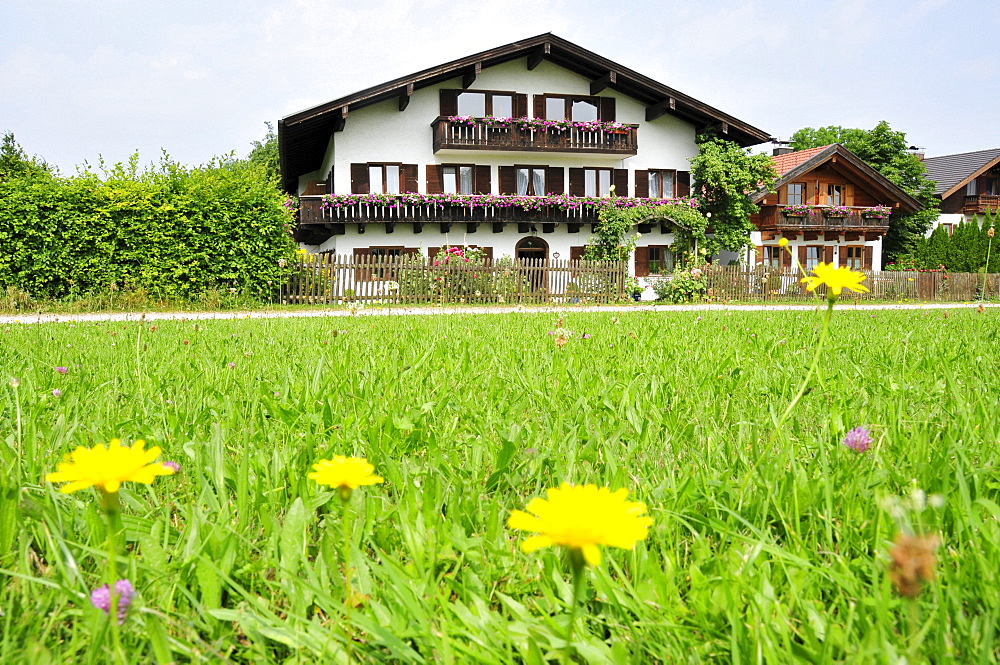 Residential houses on Fraueninsel, Women's Island, Lake Chiemsee, Chiemgau, Bavaria, Germany, Europe