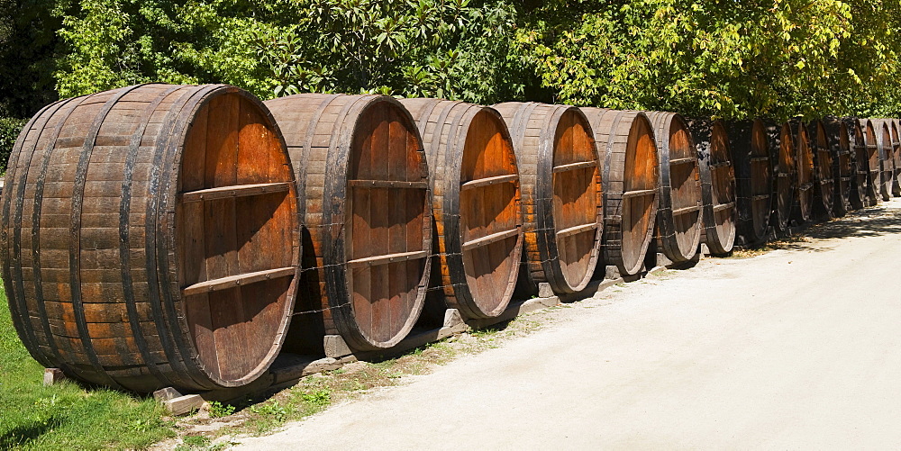 Wine barrels, Concha y Toros wine cellar, Maipu, Santiago, Chile, South America