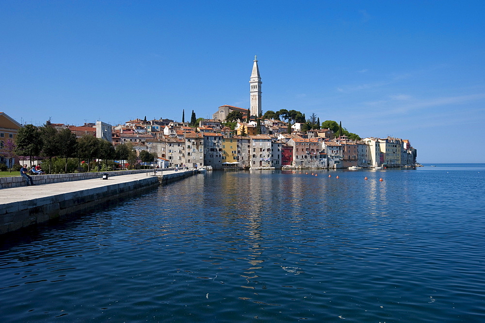 Old town with Sv. Eufemia church, Rovinj, Istria, Croatia, Europe