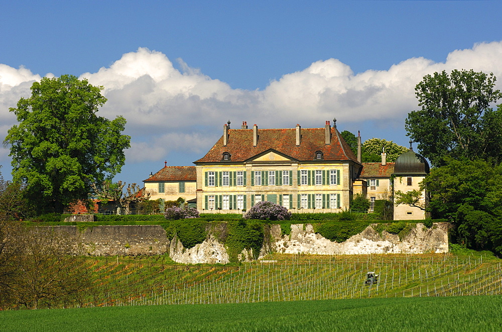 Domaine du Chateau de Vullierens, Vullierens Castle, Canton of Vaud, Switzerland, Europe