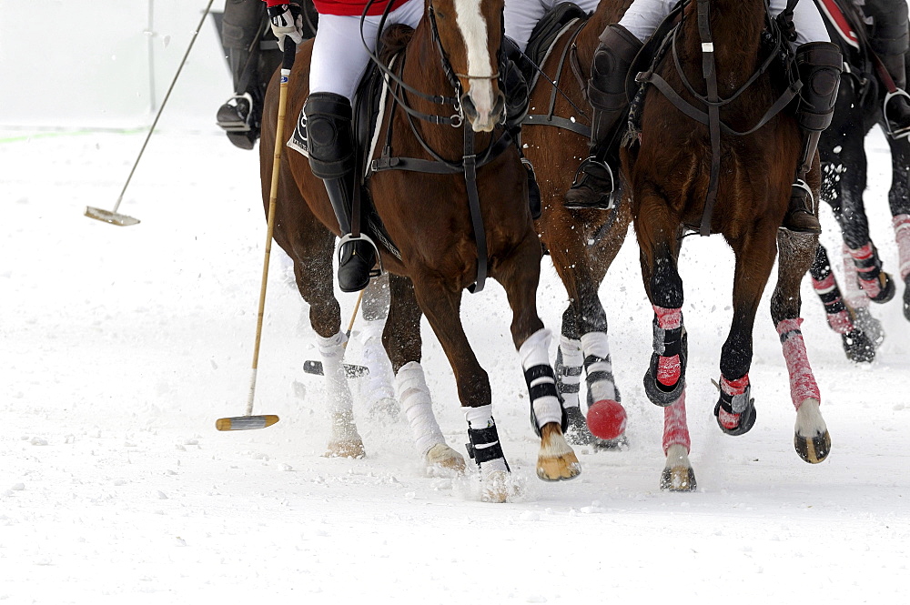 Polo players battling for the ball, polo horses galloping across the snow, Snow Arena Polo World Cup 2010 polo tournament, Kitzbuehel, Tyrol, Austria, Europe