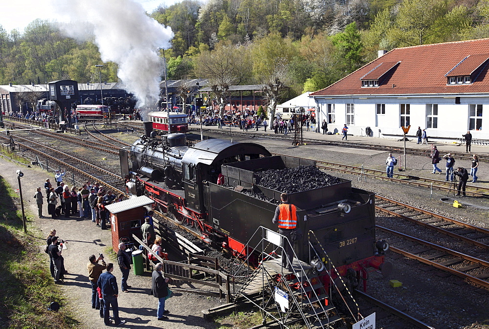 Steam Locomotive Festival, Railway Museum, Dahlhausen, Bochum, North Rhine-Westphalia, Germany, Europe