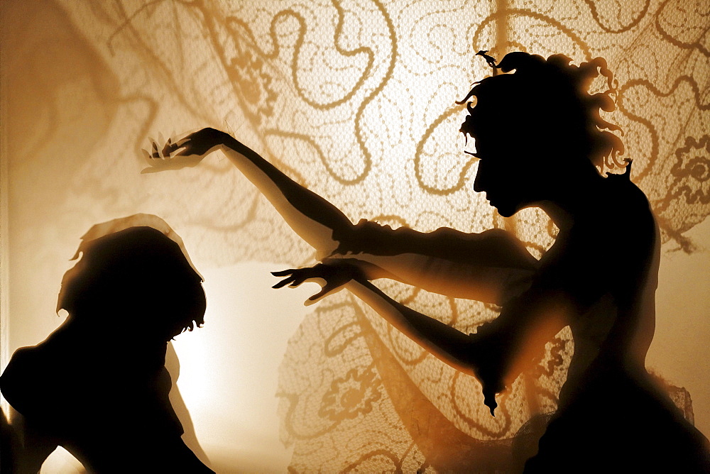 Woman bewitches a man, projection of silhouette figures on an illuminated curtain, shadow theater, tour Kunstakademie Art Academy in Duesseldorf, North Rhine-Westphalia, Germany, Europe