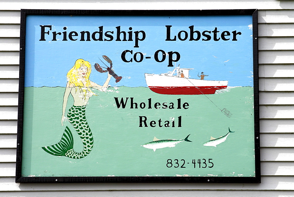 Lobster for sale, sign, Friendship fishing village, Maine coast, New England, USA